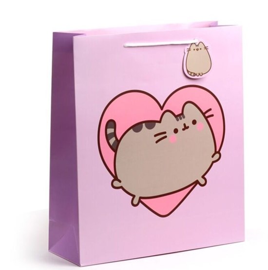 Pusheen de Kat Hart Cadeautas XL circa 40x35x12cm 